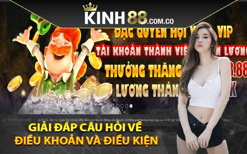 Giải đáp câu hỏi về điều khoản và điều kiện